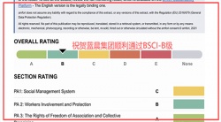 祝贺中山蓝晨科技股份有限公司2026年一次性成功通过BSCI验厂-B级